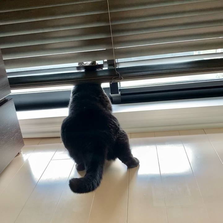 6b8d88bf ef67 4c9a b61b 1851a8c4a882 1658462258727