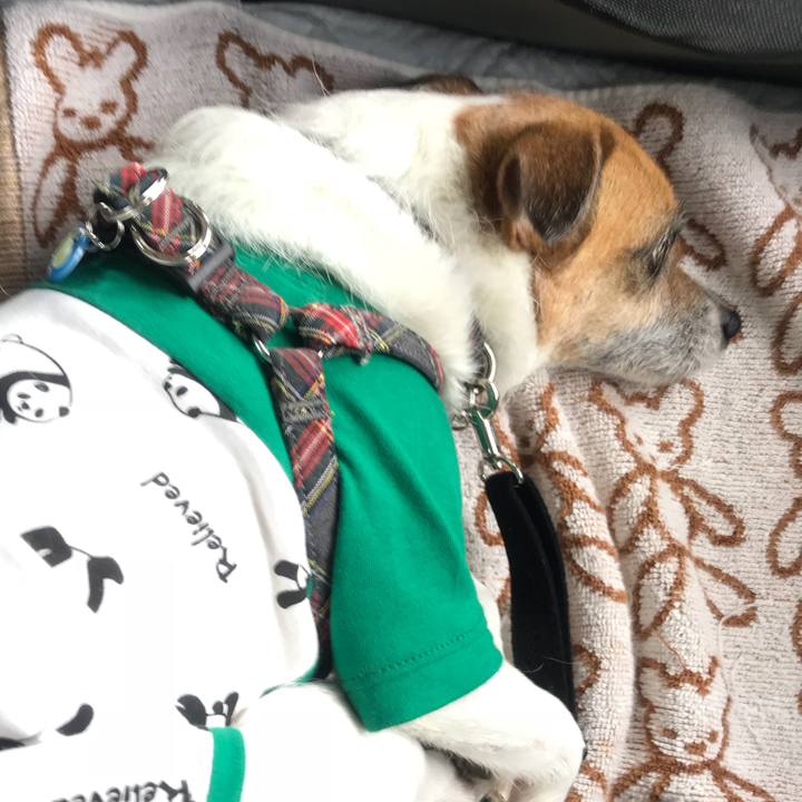 6b8d8cd0 0294 4d3a be6c 5ef5265cbf0b 1525074706299