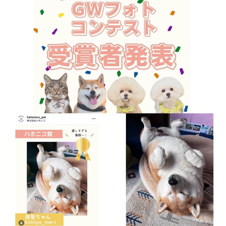 6b8d9175 85e5 46af 861e 77c98b8cf2b7 1684839661058