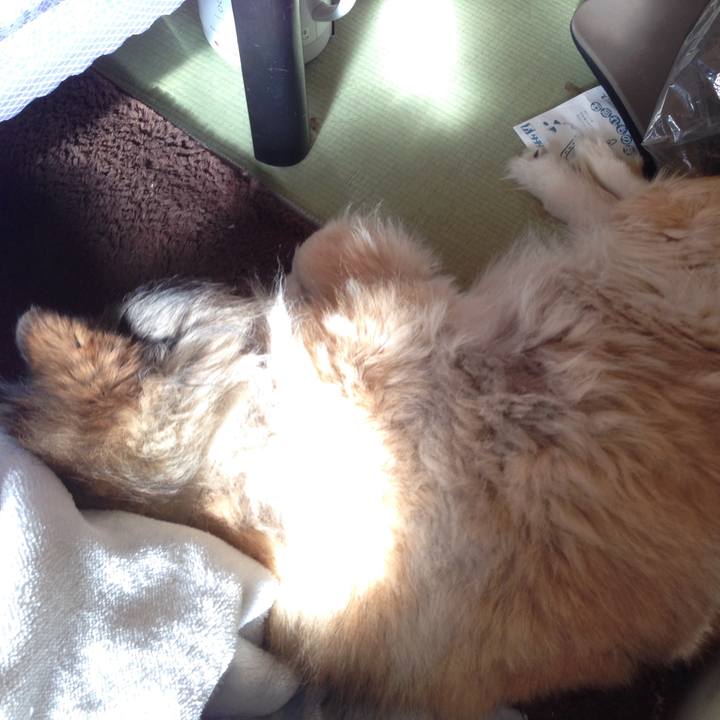 6b8de497 ddcf 4b57 a669 a8ae4b2d733c 1548977881647