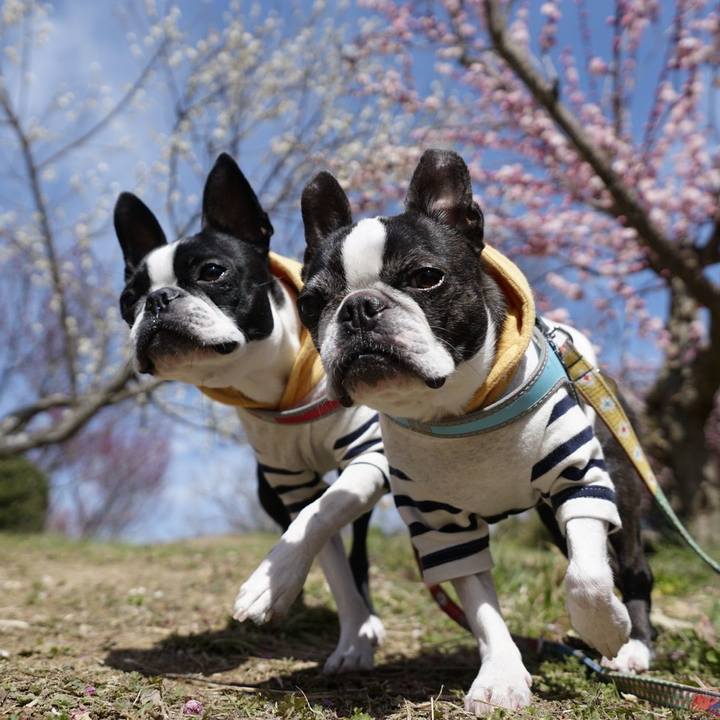 6b8e2857 65b0 46cc bbbf 4d263eda0dc3 1519992167178