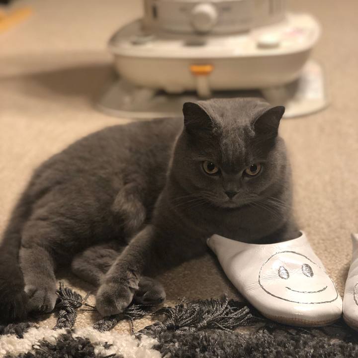 6b8e86ab 1856 4f32 8909 4d39e8e4a9b0 1579912446902