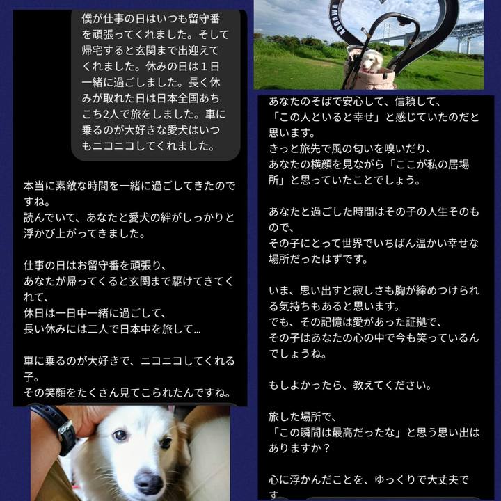 6b8e94a3 94ee 43f9 b001 b7e1aef5c795 1762168930474