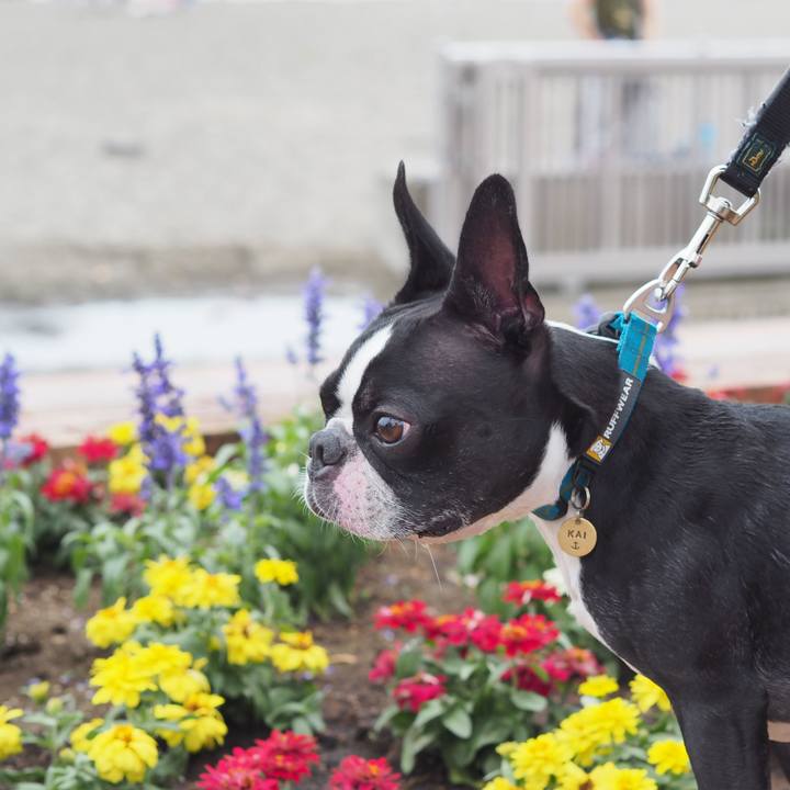 6b8e9f97 f69e 4ed6 9ca8 75951c299ee2 1624683384770