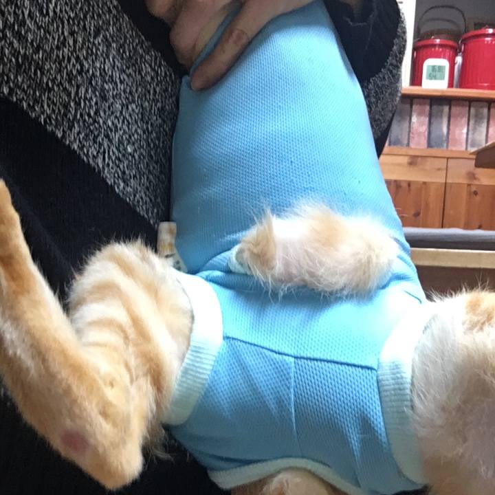 6b8eb20e 976e 40b0 adba a95aaf62c2c4 1519905279552