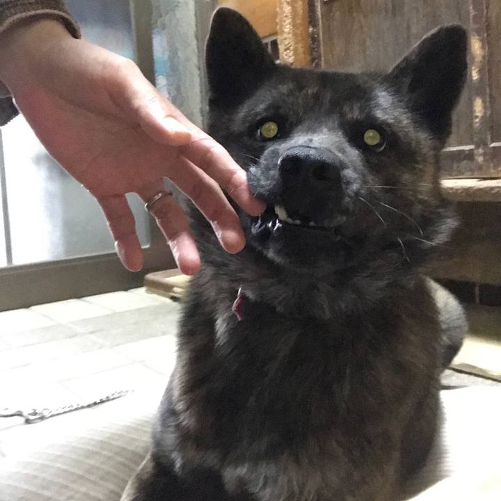 6b8ece0b 2492 4415 a29a 5c4d4e0f8936 1516614910448