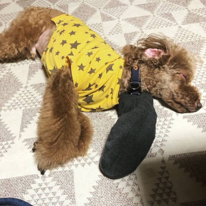 6b8ece30 eaa8 458a 8926 591397a9c1cf 1569566230679