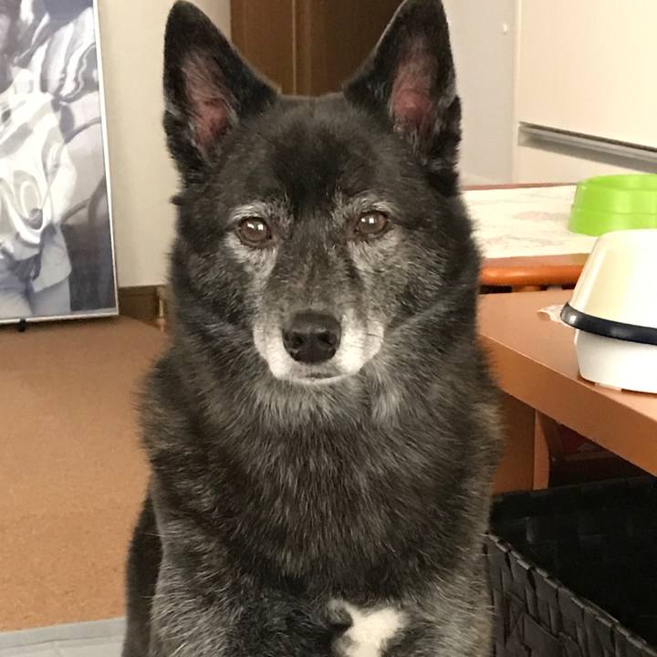 6b8ee8f5 2a65 4d89 a3ea 95cbb37f5bee 1507900116956