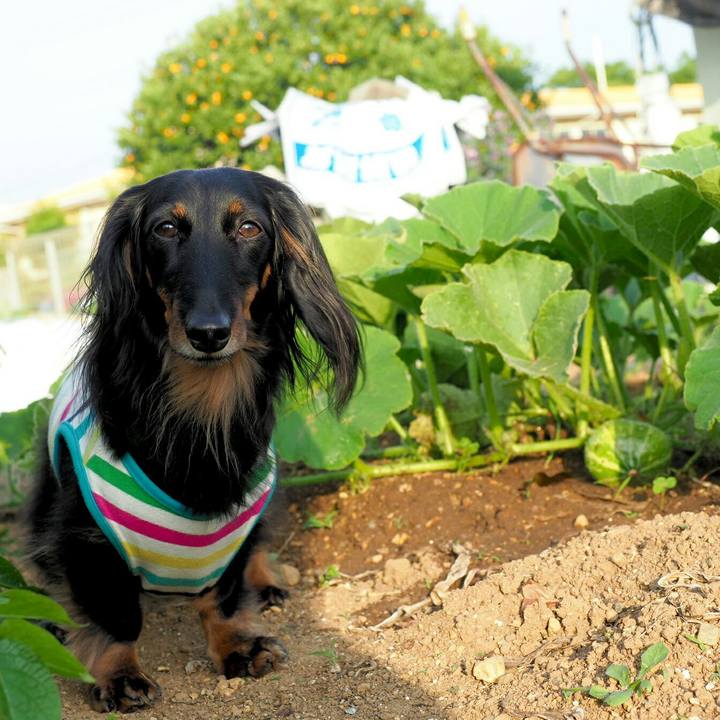 6b8eeb3a b645 4499 8413 0edc4e7159b3 1559619348187