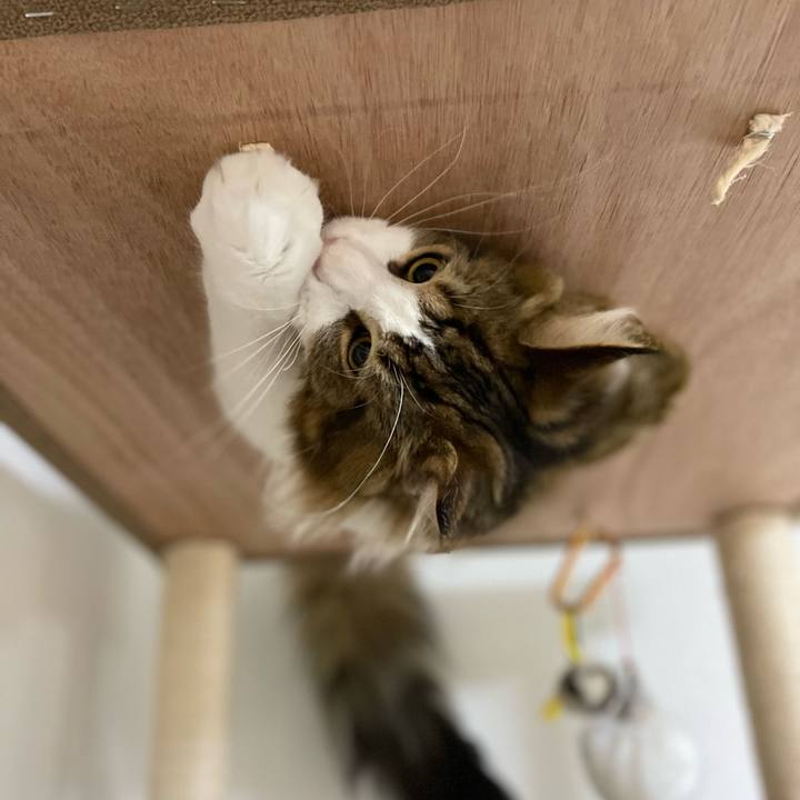 6b8f2bae e14d 471d a7ec cfcdbff09cc5 1648156203877