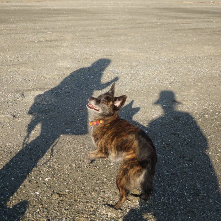 6b8f2c13 fe26 4218 9e82 a6c143f81bcd 1601468328191