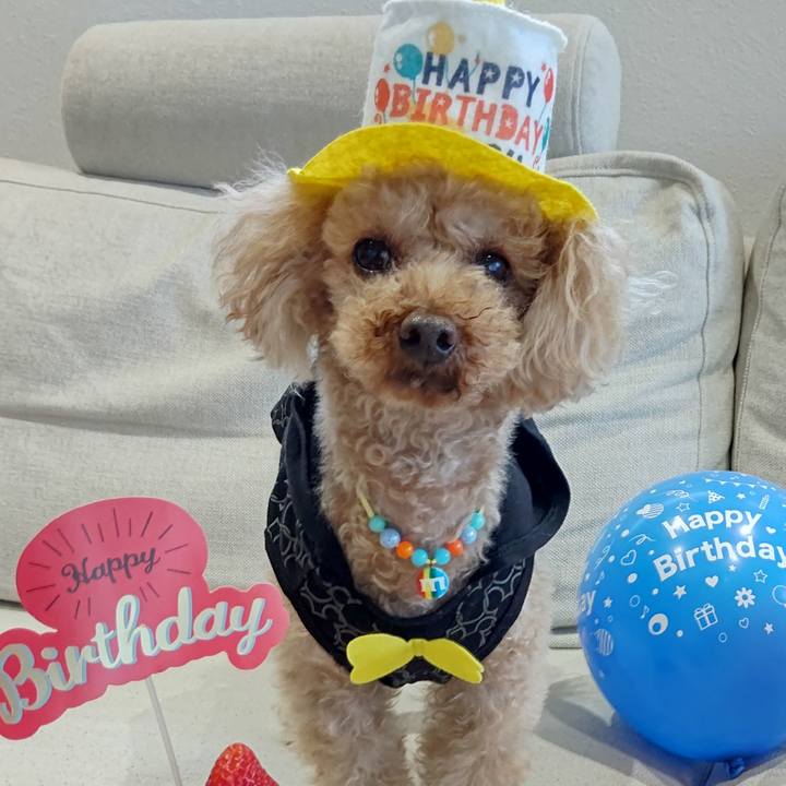 6b8f6544 c0f7 4c52 b4dd 1003b245f28c 1612752165030