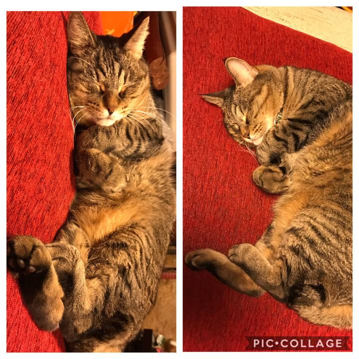 6b8f7901 587f 4d9d a918 1a464251d0df 1542989958833