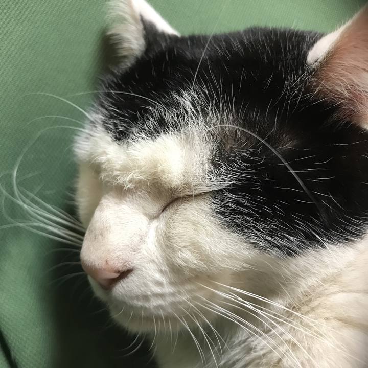 6b8f8364 dc39 4bd8 ab4e d0b6b52c104d 1547824029781