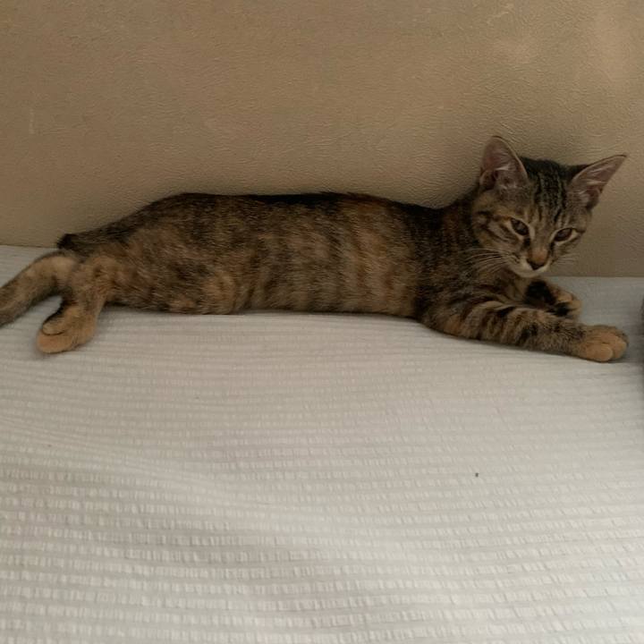 6b8f977e fdcd 4d89 b6d8 2bcf9e7d1322 1593859450423