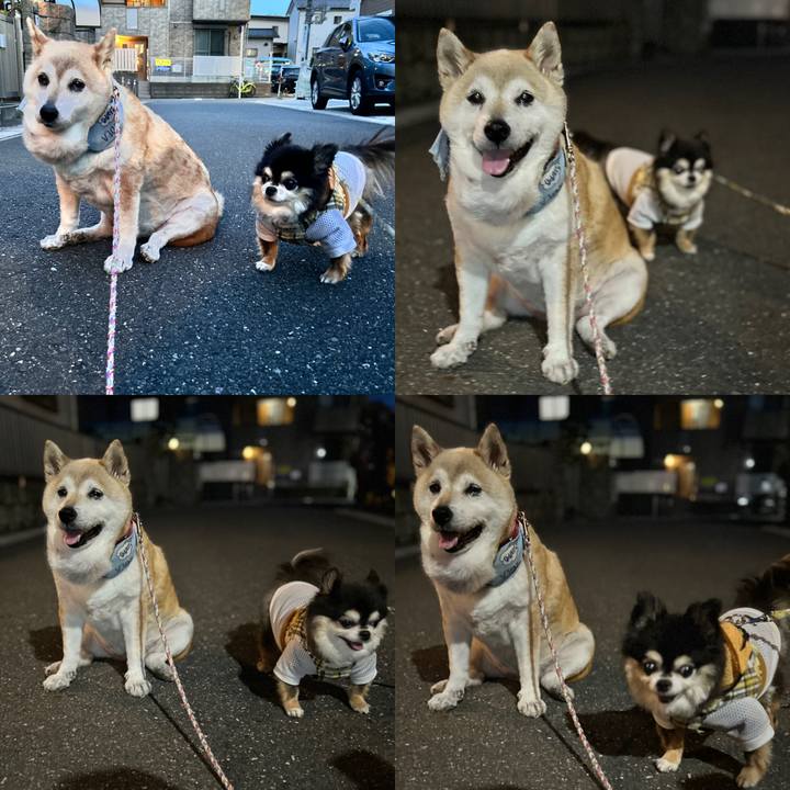 6b8fd10b 37ac 4200 bfbc be5856b2691e 1752490191935