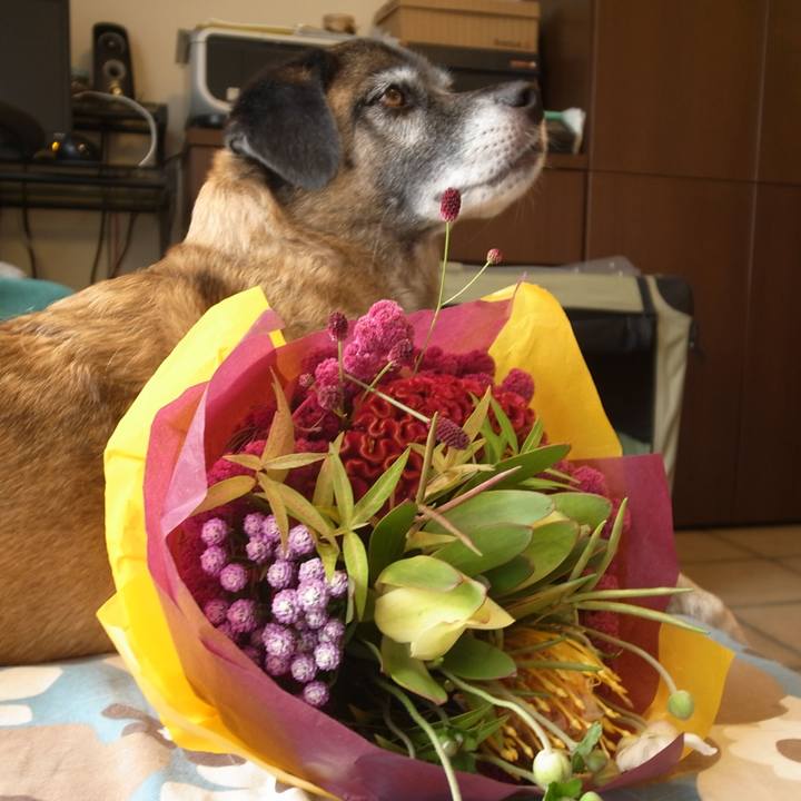 6b902932 714e 49fa 830c fc0b221a855d 1589679699148