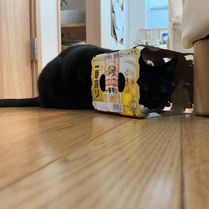 6b902dce 4ae7 43ed a689 8c77821397dd 1679105768337