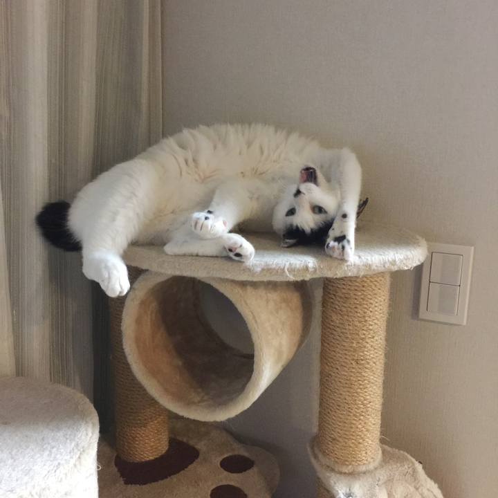 6b902f25 0929 4014 8ba4 7c01829f5452 1514244099000