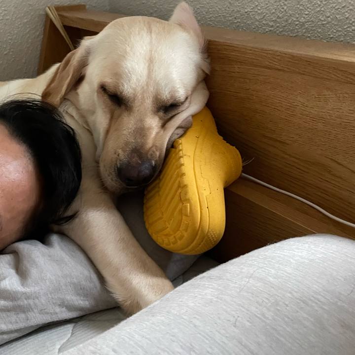 6b903944 b01e 4b04 8be7 6938ce04ddbe 1656423128830