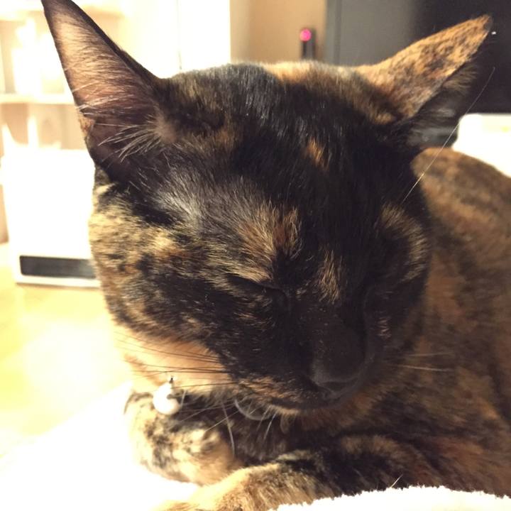 6b908e86 7d00 4444 8d6e ac1937a3b022 1514306319174