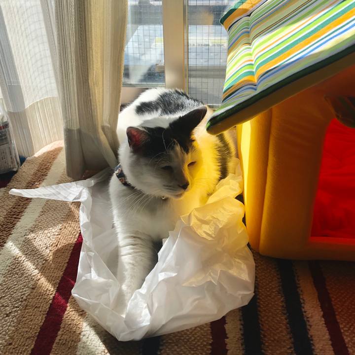 6b909328 c0b9 463d a83e afa3d76b7f24 1573964280363