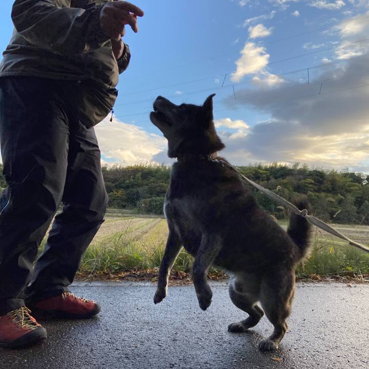 6b90a913 9876 4f85 8fa6 968e756da87a 1604874775211