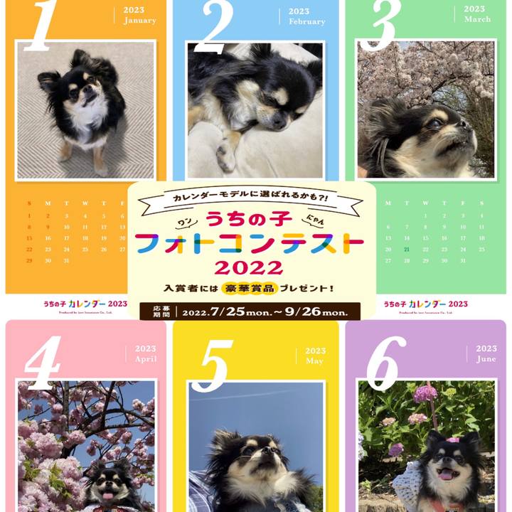 6b90bc77 c00b 41d9 985d 9dffe96613d3 1662256686387