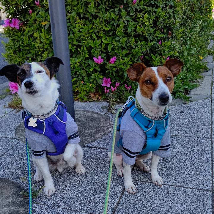 6b90da23 f75a 4444 8d4a 7895f5b3a551 1618014455003