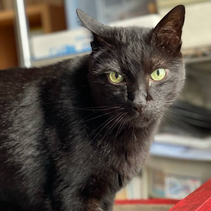 6b90da5e 1b1f 4091 97d3 a6faf3888a2b 1624498738364