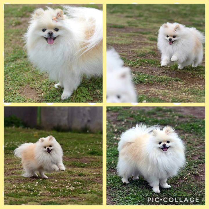 6b90db35 735f 4ba2 bd4b 2c82a01393e9 1556827035022