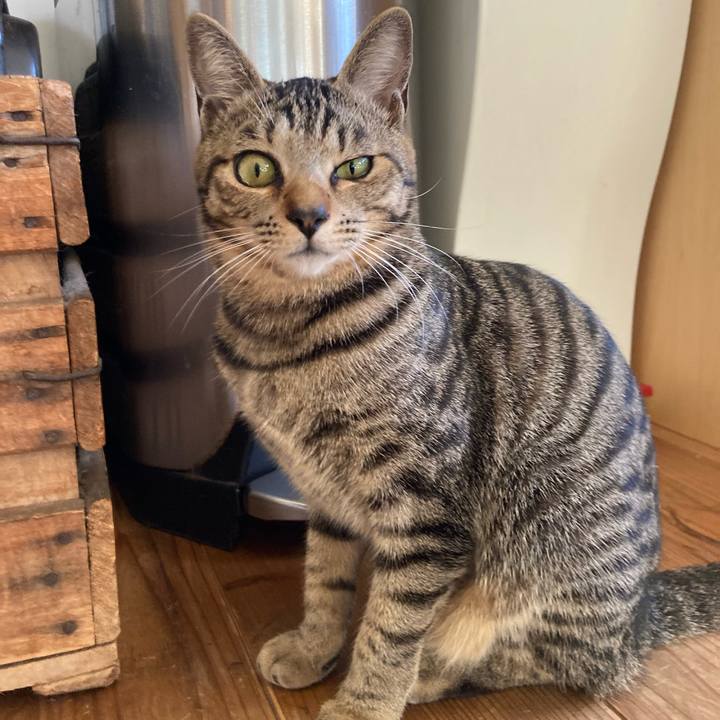 6b90f5c7 2b73 408a 8ea6 4198a62a73b5 1672877036815