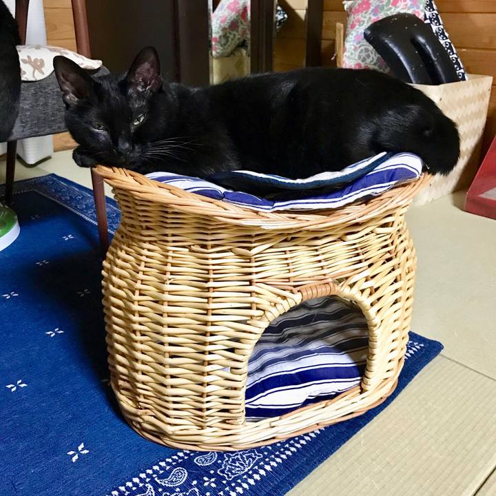 6b910094 bd92 4840 b3ae 6c23e137afc0 1526301802916