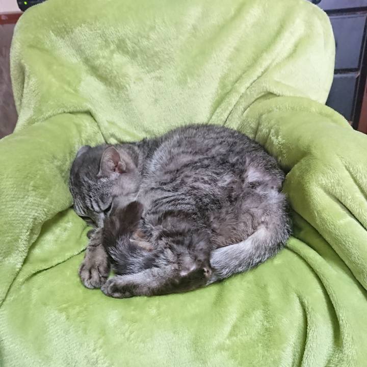 6b910af6 ddd7 4df4 ac62 2f83955cabed 1587863651920