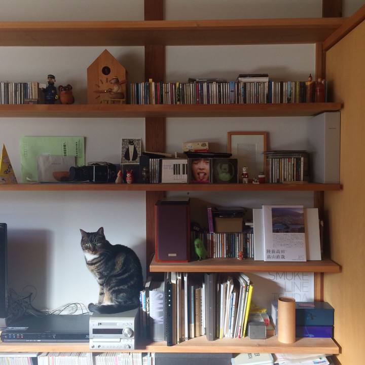 6b910c3b 781e 4964 80fe 06d1dadfb589 1512258409453