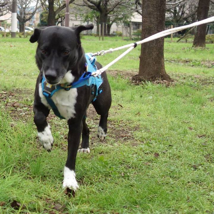 6b91355d 25b8 4a1e 948a 79bcee752a93 1635727352792