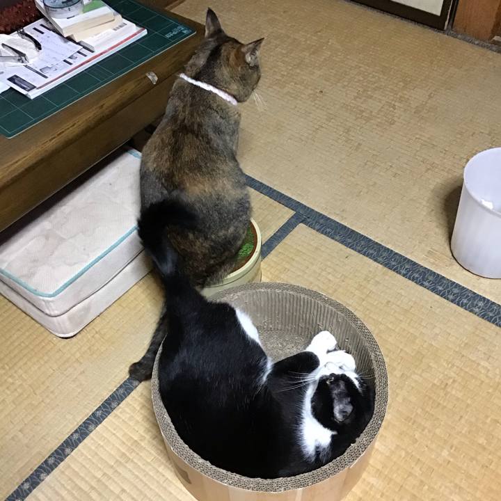 6b914555 d231 4e5b b8ec 907b5f841d71 1726651435980