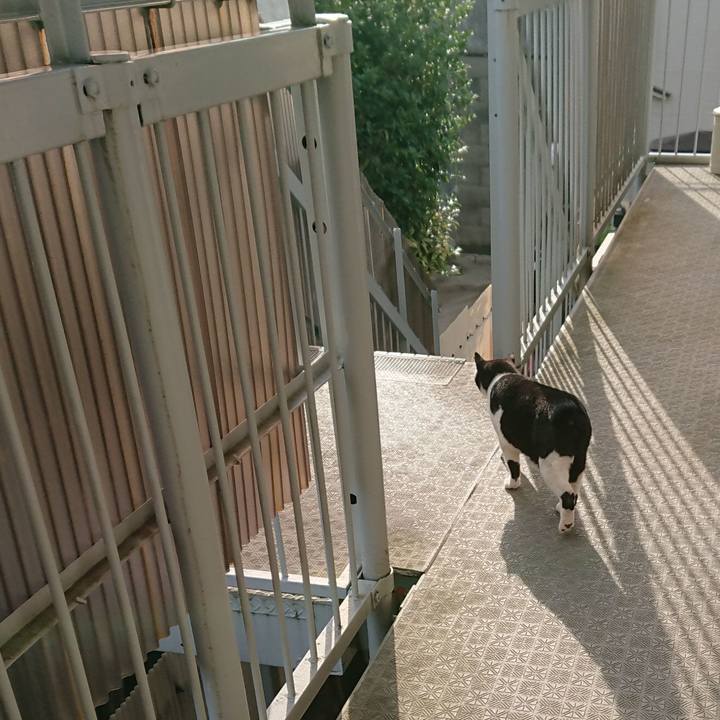 6b91591f b534 40ad a482 904ecf8f0edc 1527738140393