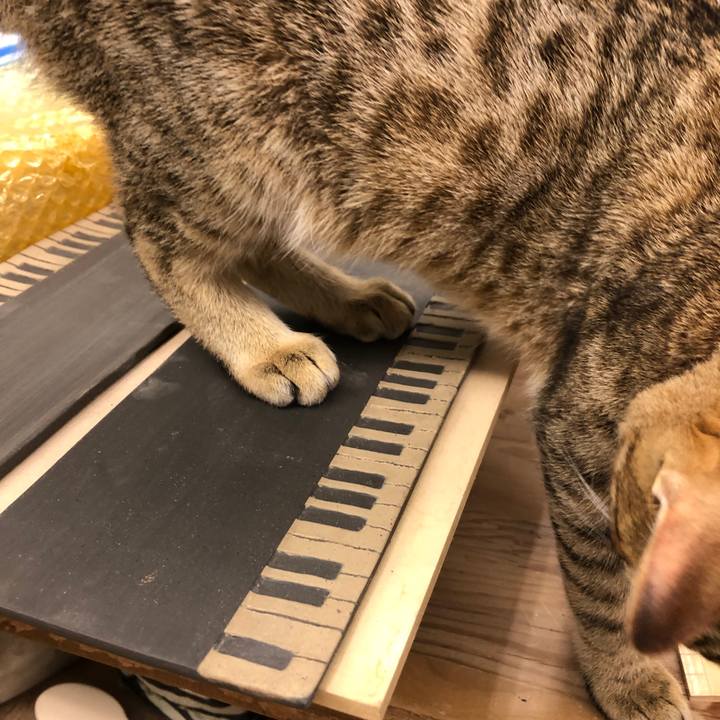 6b917e4f 1d76 4416 bfeb 5da72f7062ec 1584955098484