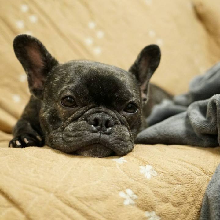 6b918ec5 a3a6 4fbe 988f 169eb6784333 1520078968243