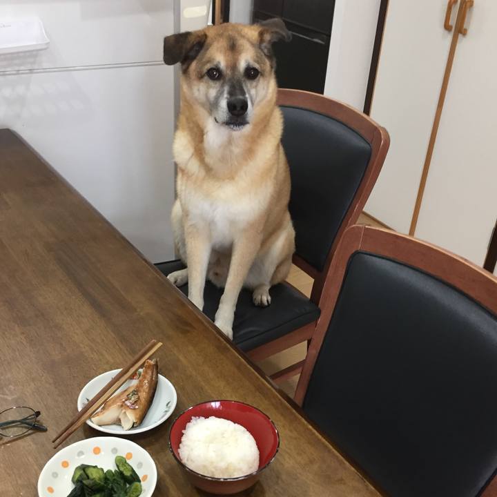 6b918fed 9ea9 435f 932a aa59696ca4b2 1597201032520