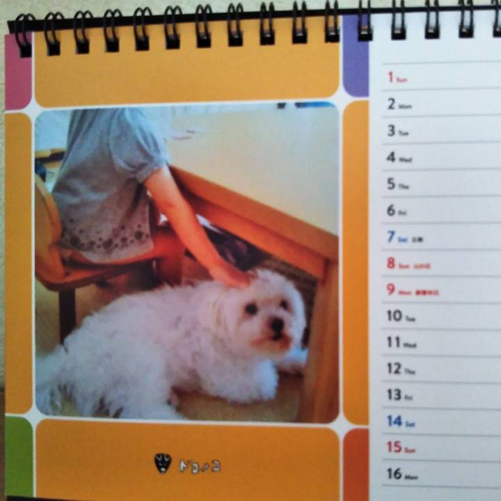 6b91a0c2 b62e 4f27 952b 97236c08754c 1628223581069