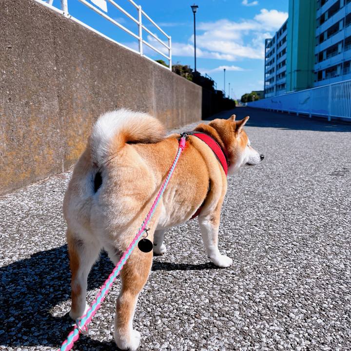 6b91a566 56ee 4a91 aca7 62949ffe3998 1698111508267