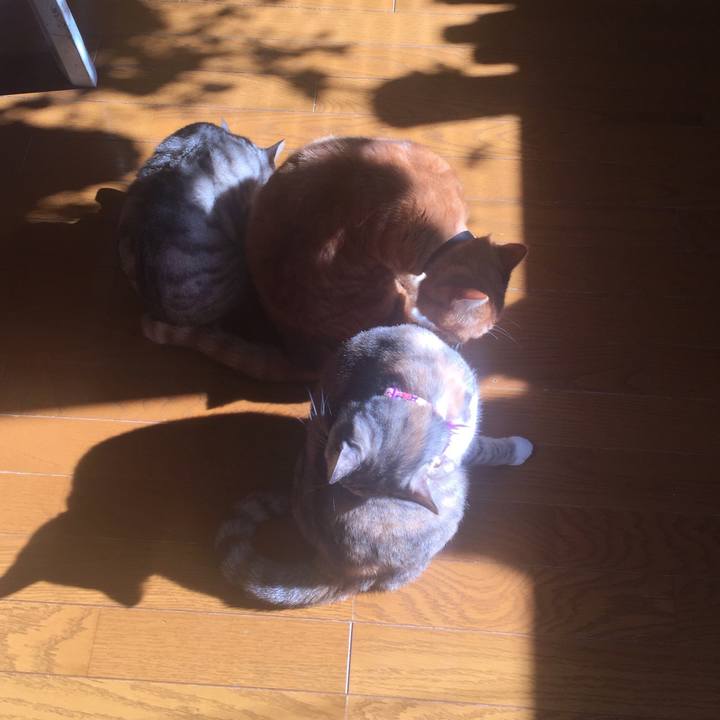 6b91d06e aa5d 4f0c 8580 6bb1310972ca 1548123188860