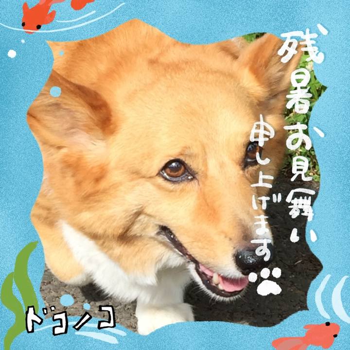 6b91d285 56e0 4521 994e de3b985c6fb5 1723633272071