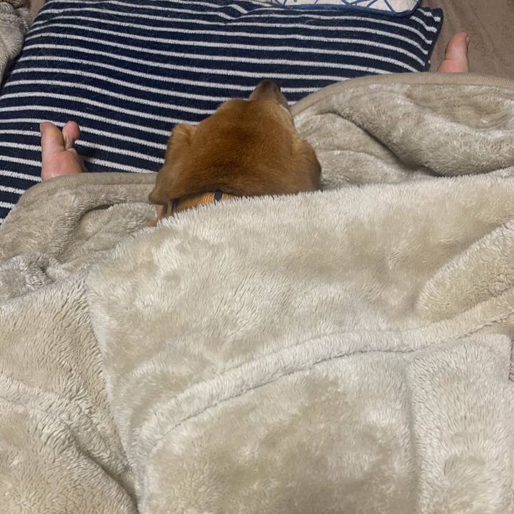 6b920bd9 2d76 4dff acd5 14b2d869f424 1621330209186