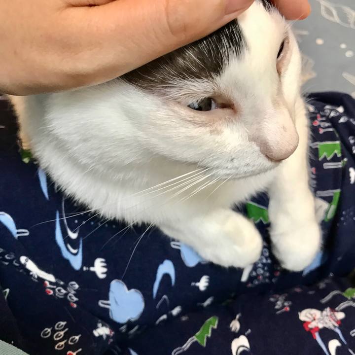 6b9223c4 82ef 45c4 ac59 538871a11b33 1592265100003