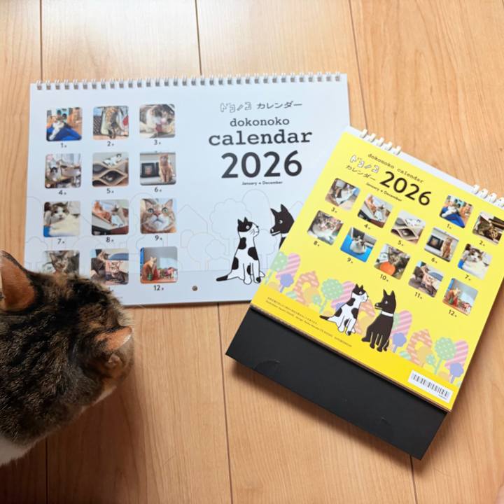 6b929f7d 2976 433c bbc6 ef9f64b18d4b 1765071636328