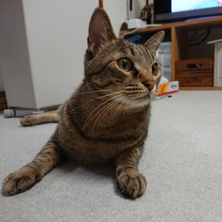 6b92a6cc ee22 4ac5 b350 27a1abff7aea 1570184525607