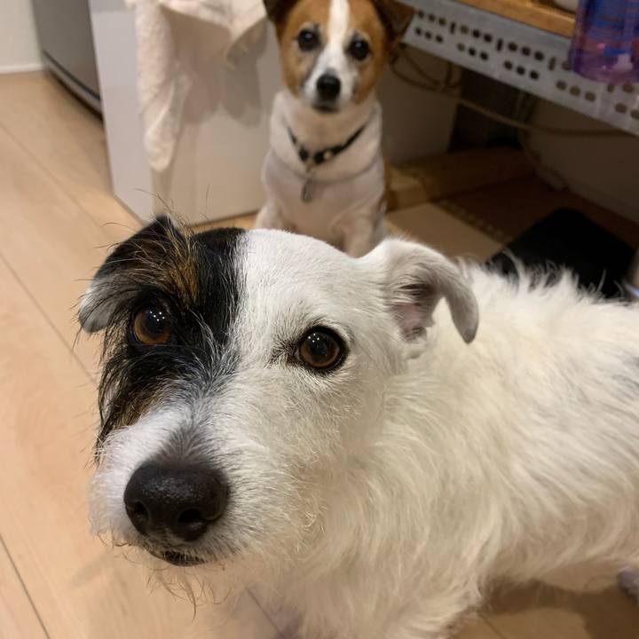 6b92cdba 54a0 4111 ae4b 798488303a71 1593686556165